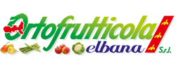 ortofrutticola